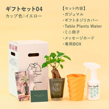画像をギャラリービューアに読み込む, 【土を使わない観葉植物】テーブルプランツ ギフトセット(Table Plants)