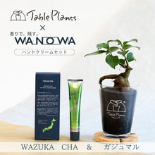 画像をギャラリービューアに読み込む, 【数量限定】天然由来成分98%以上国産ハンドクリーム×TablePlants(テーブルプランツ)セット