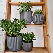 画像をギャラリービューアに読み込む, CAPI ミックスボックスグルーヴ4点セット