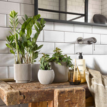 画像をギャラリービューアに読み込む, CAPI ミックスボックスグルーヴ4点セット