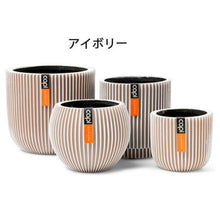 画像をギャラリービューアに読み込む, CAPI ミックスボックスグルーヴ4点セット