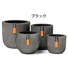 画像をギャラリービューアに読み込む, CAPI ミックスボックスグルーヴ4点セット