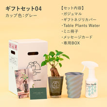 画像をギャラリービューアに読み込む, 【土を使わない観葉植物】テーブルプランツ ギフトセット(Table Plants)