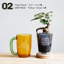 画像をギャラリービューアに読み込む, 【カンパイプランツ!】テーブルプランツ(Table Plants) ガジュマル×amabro GRIP MUG セット(土を使わない観葉植物)
