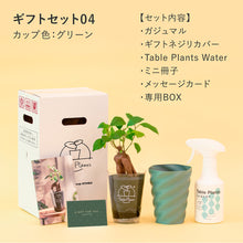 画像をギャラリービューアに読み込む, 【土を使わない観葉植物】テーブルプランツ ギフトセット(Table Plants)
