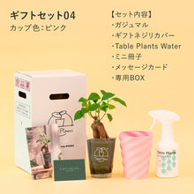 画像をギャラリービューアに読み込む, 【土を使わない観葉植物】テーブルプランツ ギフトセット(Table Plants)