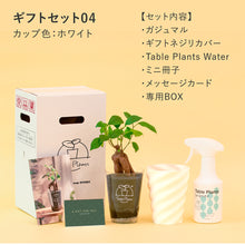 画像をギャラリービューアに読み込む, 【土を使わない観葉植物】テーブルプランツ ギフトセット(Table Plants)