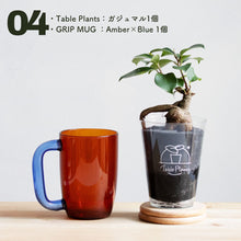 画像をギャラリービューアに読み込む, 【カンパイプランツ!】テーブルプランツ(Table Plants) ガジュマル×amabro GRIP MUG セット(土を使わない観葉植物)