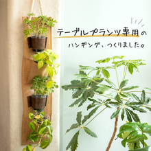 画像をギャラリービューアに読み込む, 【TablePlants専用】リネン×レザーハンギング【再入荷】