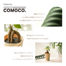 画像をギャラリービューアに読み込む, 【土を使わない観葉植物】テーブルプランツ ギフトセット(Table Plants)