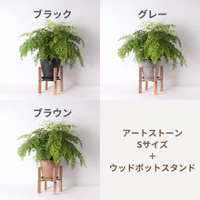 画像をギャラリービューアに読み込む, アジアンタム・フレグランス 5号 鉢カバー&スタンドセット おしゃれ インテリアグリーン リビング