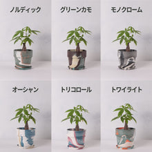 画像をギャラリービューアに読み込む, パキラ 5号 おしゃれなマーブル鉢カバーセット