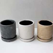 画像をギャラリービューアに読み込む, 【土を使わない観葉植物】テーブルプランツ(Table Plants)1品種×Velho鉢セット