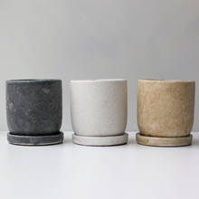 画像をギャラリービューアに読み込む, 【土を使わない観葉植物】テーブルプランツ(Table Plants)1品種×Velho鉢セット