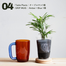 画像をギャラリービューアに読み込む, 【カンパイプランツ!】テーブルプランツ(Table Plants) テーブルヤシ×amabro GRIP MUG セット(土を使わない観葉植物)