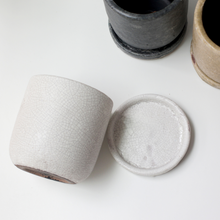 画像をギャラリービューアに読み込む, 【土を使わない観葉植物】テーブルプランツ(Table Plants)1品種×Velho鉢セット