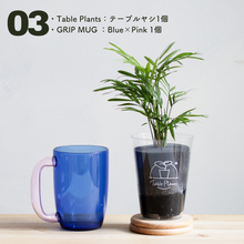 画像をギャラリービューアに読み込む, 【カンパイプランツ!】テーブルプランツ(Table Plants) テーブルヤシ×amabro GRIP MUG セット(土を使わない観葉植物)