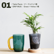 画像をギャラリービューアに読み込む, 【カンパイプランツ!】テーブルプランツ(Table Plants) テーブルヤシ×amabro GRIP MUG セット(土を使わない観葉植物)