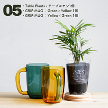 画像をギャラリービューアに読み込む, 【カンパイプランツ!】テーブルプランツ(Table Plants) テーブルヤシ×amabro GRIP MUG セット(土を使わない観葉植物)
