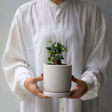 画像をギャラリービューアに読み込む, 【土を使わない観葉植物】テーブルプランツ(Table Plants)1品種×Velho鉢セット