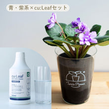 画像をギャラリービューアに読み込む, 【土を使わない鉢花】テーブルプランツ(Table Plants) セントポーリア×cu:Leaf®(キュリーフ)500mlセット ※数量限定/予約商品