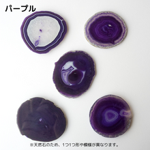 画像をギャラリービューアに読み込む, 【土を使わない観葉植物】 テーブルプランツ(Table Plants) ×カラフルCRYSTAL COASTERセット