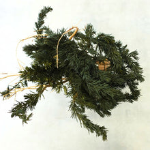 画像をギャラリービューアに読み込む, ドライ盆栽® スマート・緑