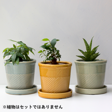 画像をギャラリービューアに読み込む, 【おしゃれな植木鉢】TRONCO/Sentir陶器鉢