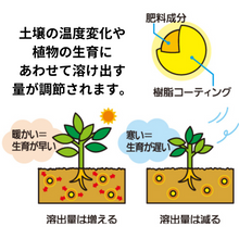 画像をギャラリービューアに読み込む, 【GreenSnap特別価格】 マイガーデン植物全般用 350g (粒状肥料)※アウトレット商品