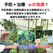 画像をギャラリービューアに読み込む, 【GreenSnap特別価格】 ベニカベジフルVスプレー 420ml (殺虫殺菌剤) ※アウトレット商品