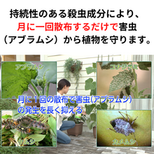 画像をギャラリービューアに読み込む, 【GreenSnap特別価格】 ベニカベジフルVスプレー 420ml (殺虫殺菌剤) ※アウトレット商品
