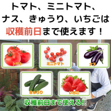 画像をギャラリービューアに読み込む, 【GreenSnap特別価格】 パイベニカVスプレー 420ml (殺虫剤) ※アウトレット商品