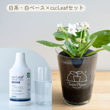 画像をギャラリービューアに読み込む, 【土を使わない鉢花】テーブルプランツ(Table Plants) セントポーリア×cu:Leaf®(キュリーフ)500mlセット ※数量限定/予約商品
