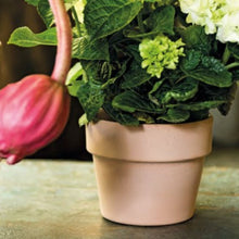 画像をギャラリービューアに読み込む, DEROMA ヴァソペルフェット 13号 ライトグレーorテラコッタ (高さ31cm)