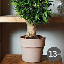 画像をギャラリービューアに読み込む, DEROMA ヴァソペルフェット 13号 ライトグレーorテラコッタ (高さ31cm)