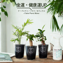 画像をギャラリービューアに読み込む, 【風水効果で選ぶ!】テーブルプランツ(Table Plants) 3種+Table Plants Waterセット ※土を使わない観葉植物