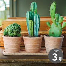 画像をギャラリービューアに読み込む, DEROMA テラコッタキット ヴァソ ミニ シエナ 3号×3個セット (高さ9cm)