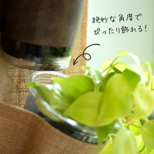 画像をギャラリービューアに読み込む, 【TablePlants専用】リネン×レザーハンギング【再入荷】