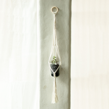 画像をギャラリービューアに読み込む, 【土を使わない観葉植物】つる性テーブルプランツ(Table Plants) ×ハンギングセット