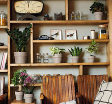 画像をギャラリービューアに読み込む, DEROMA ヴァソペルフェット 13号 ライトグレーorテラコッタ (高さ31cm)