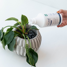 画像をギャラリービューアに読み込む, 【安心!活力剤セット】Table Plants Water & cu:Leaf®(キュリーフ) 各1本セット