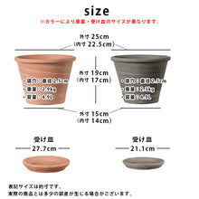 画像をギャラリービューアに読み込む, DEROMA ヴァサム デュオ ホワイトストライプ 8号 (高さ約19cm)