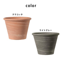 画像をギャラリービューアに読み込む, DEROMA ヴァサム デュオ ホワイトストライプ 8号 (高さ約19cm)