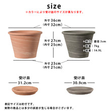 画像をギャラリービューアに読み込む, DEROMA ヴァサム デュオ ホワイトストライプ 12号 (高さ約27cm)