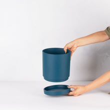 画像をギャラリービューアに読み込む, ヒメモンステラ 5号 北欧デザインストレート鉢カバーセット