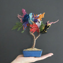 画像をギャラリービューアに読み込む, ドライ盆栽®カラフル ミニ No.2