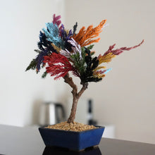 画像をギャラリービューアに読み込む, ドライ盆栽®カラフル ミニ No.2