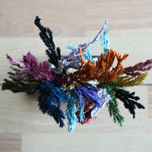 画像をギャラリービューアに読み込む, ドライ盆栽®カラフル ミニ No.2