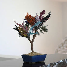 画像をギャラリービューアに読み込む, ドライ盆栽®カラフル ミニ No.2