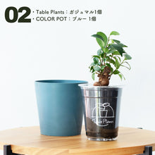 画像をギャラリービューアに読み込む, 【土を使わない観葉植物】テーブルプランツ(Table Plants)×COLOR POT SET